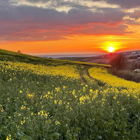 Beech Hut - A Streamside Family Escape Near Salcombe And Beaches South Milton Luaran gambar