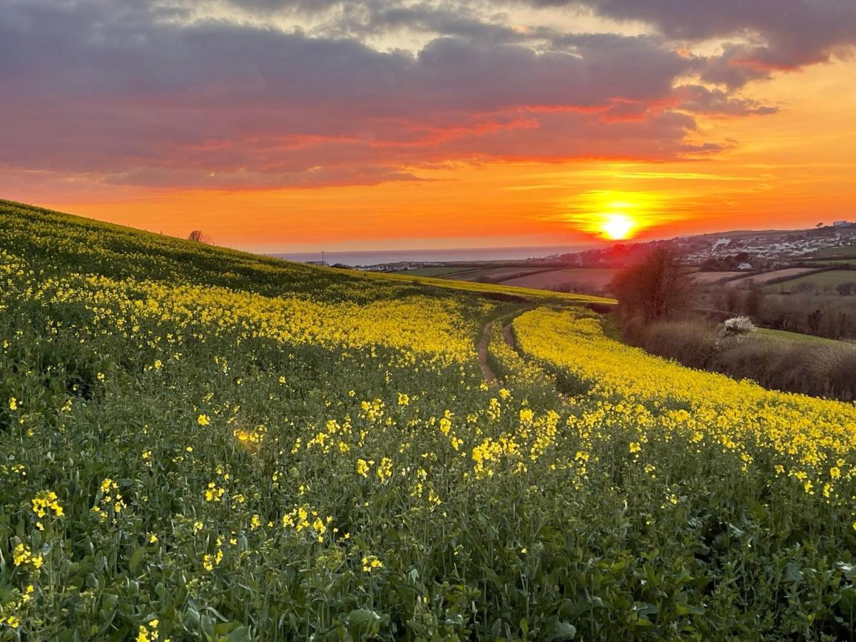 Beech Hut - A Streamside Family Escape Near Salcombe And Beaches South Milton Luaran gambar